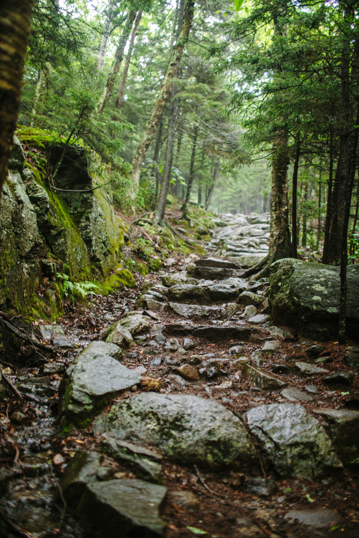 Monadnock Trails Week